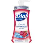 Dial Spring Water Antibacterial Foaming Hand Soap