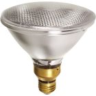 SCN XC571 Halogen Light Bulb