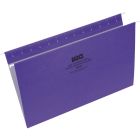 Basics&reg; Coloured Hanging Folders Legal Violet 25/box