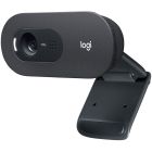 Logitech C505 Webcam - 30 fps - USB Type A - Retail (s)